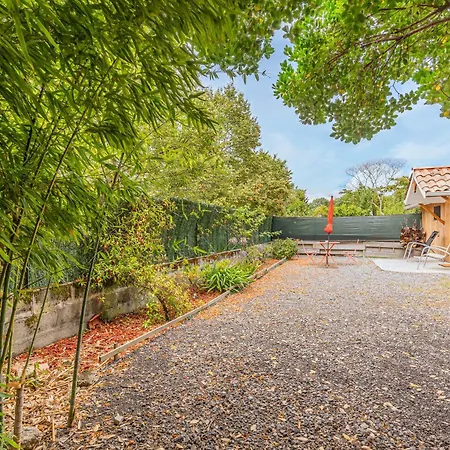 Bassin D'arcachon * La Teste-de-Buch